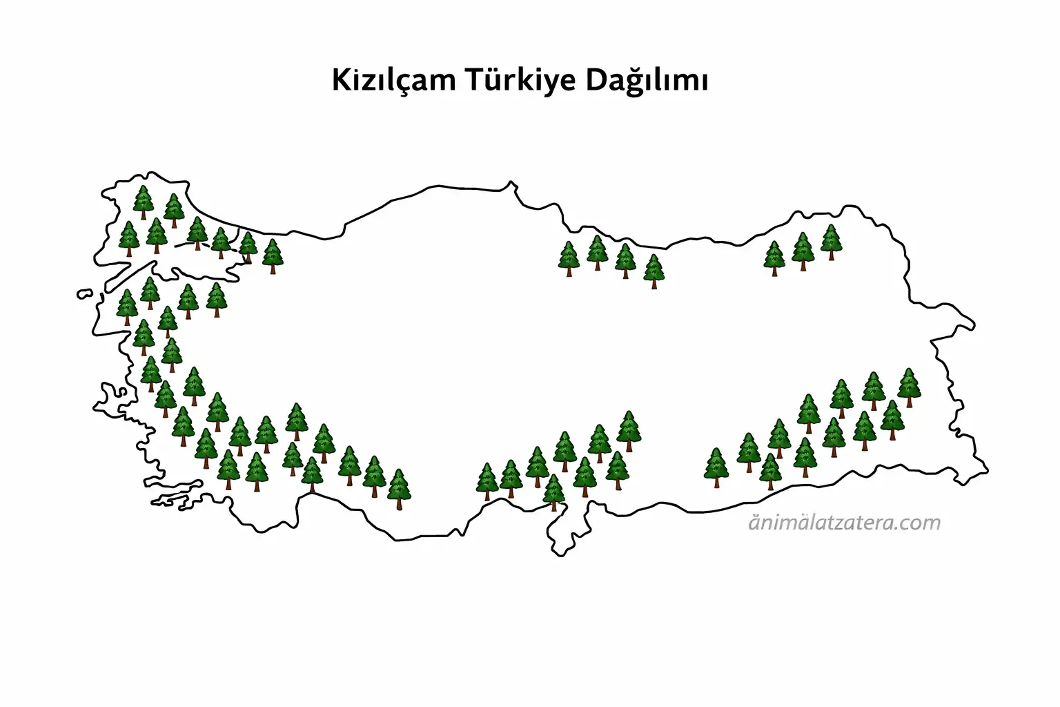 kizilcam dagilimi turkiye