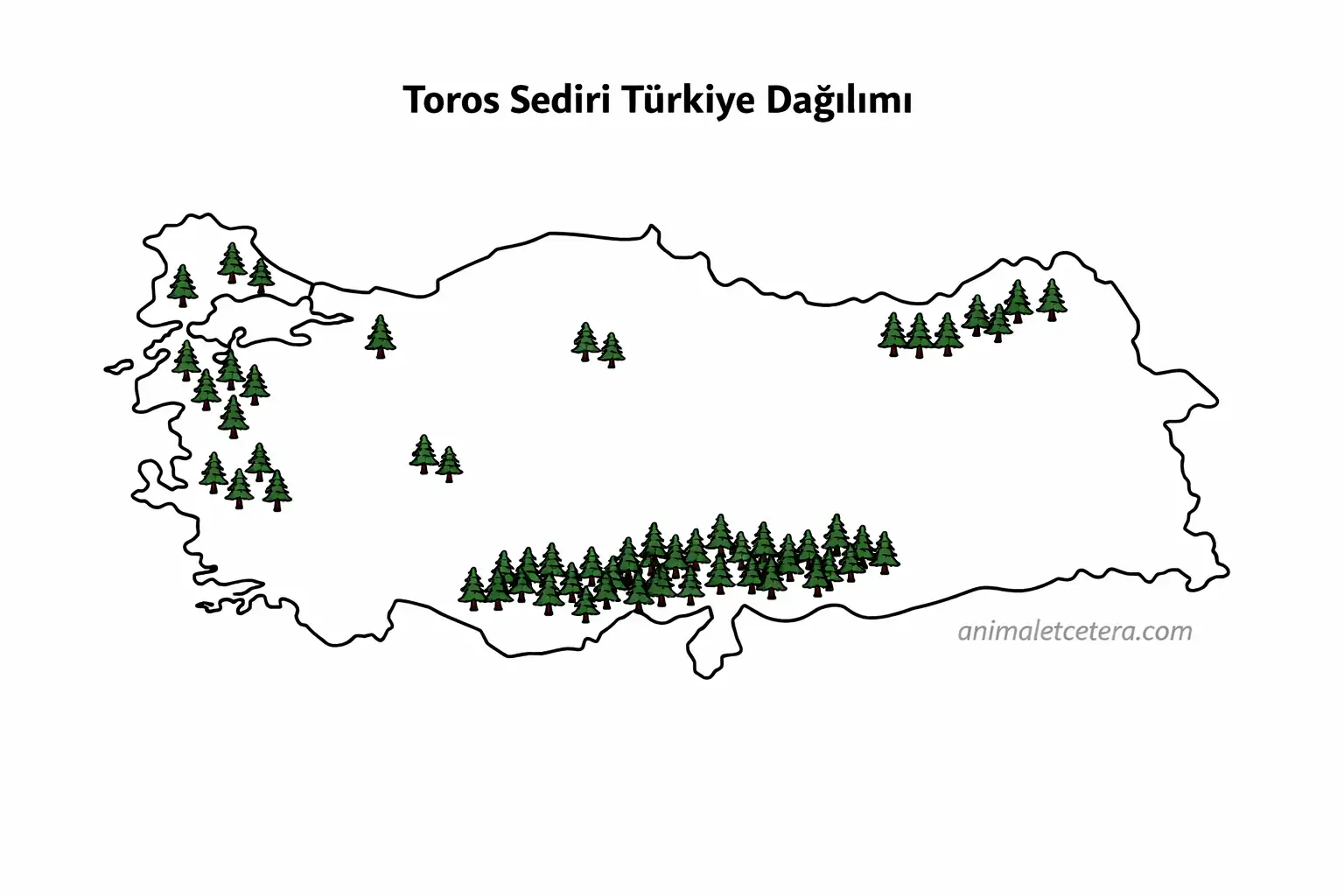 toros sediri yayilisi turkiye